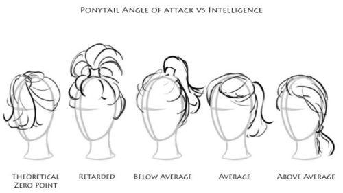 memethings: PonyTail Angle of Attack vs Intelligence
