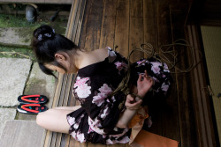 japanese shibari & kinbaku