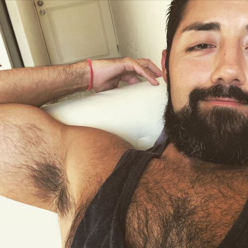 https://64.media.tumblr.com/580e11dca804839eb198a755db8f67a4/99a62e4e67b46139-4c/s500x750/167e8c1d9ed150ac85201bc113e89023fe239ca0.jpg