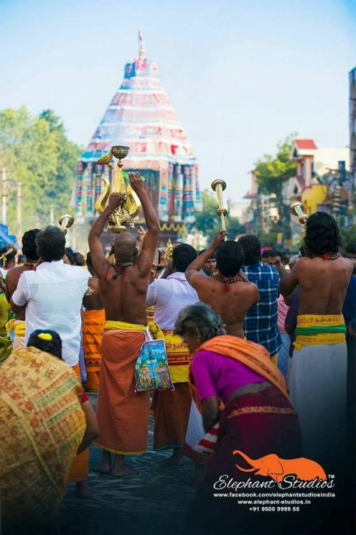 Ther (chariot) festival, Chidambaram, Tamil Nadu