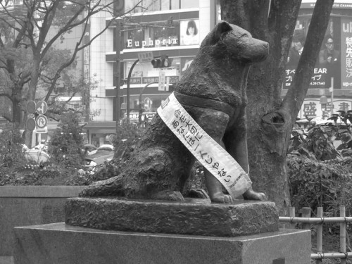 Hachiko - Shibuya by Ogiyoshisan on Flickr.