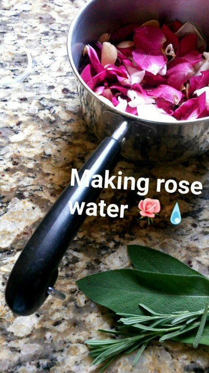 stayeduplateagain: Making rose water is super easy and you can add it to your baths, use it as a sof