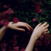 sustancy: