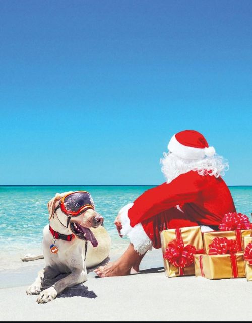 Happy Holidays 🎅🎄