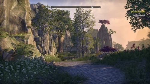 madzebattleaxe:Around Eastern Pass Wayshrine, Summerset