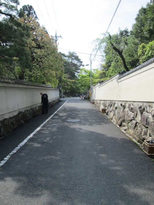 kyoto4: 20220423  新緑まぶし雨少なし南禅寺まで