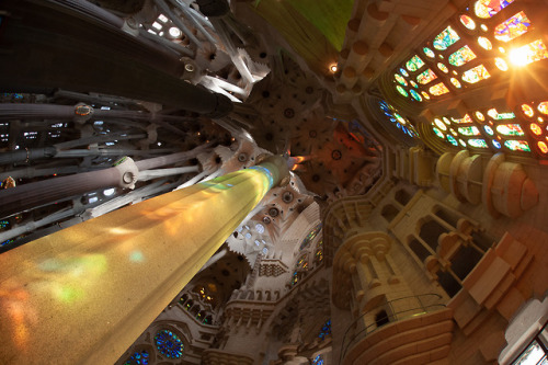 chriskenchphotography:Sagrada Família interior - Barcelona