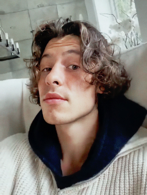 wondershawn