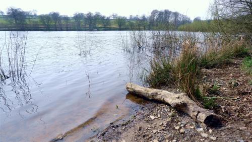 Walking around Fewston Reservoir, North Yorkshire, England.