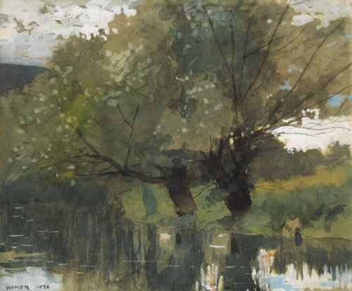 Pond and Willows, Houghton Farm, Winslow Homer, 1878