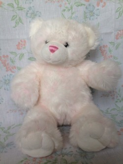 Hime-No-Yousei:  I Adopted A Bear From The Charity Shop. 