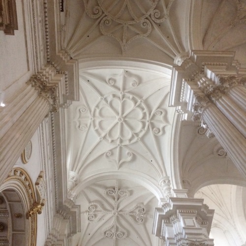 glossfae: Cathedral in Granada, Spain ⛪️