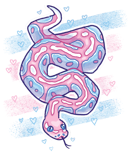william-snekspeare:happy trans day of visibility, here is a snake. she is visible