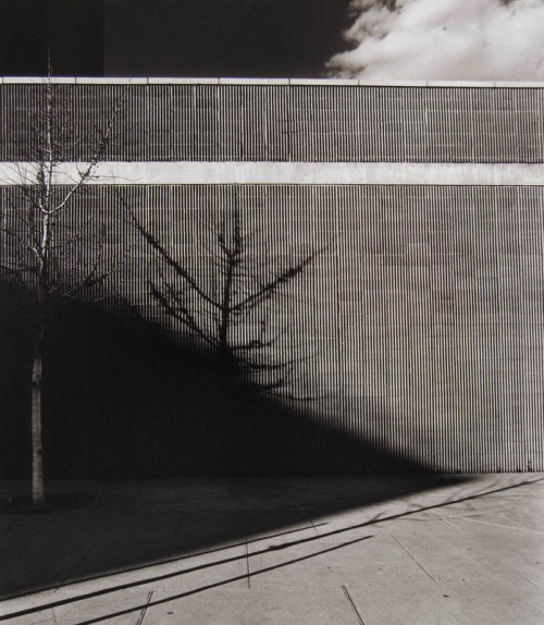 Ribbed Wall (shadows), NYC, 1978/1978Tom Baril