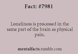 mentalfacts:  Fact  7981:   Loneliness is