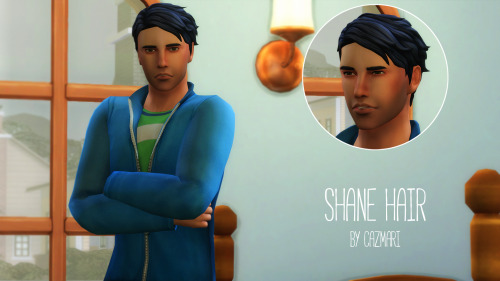 Our favorite troubled chicken man brought to the sims!Shane is my baby. I love him so much so I want