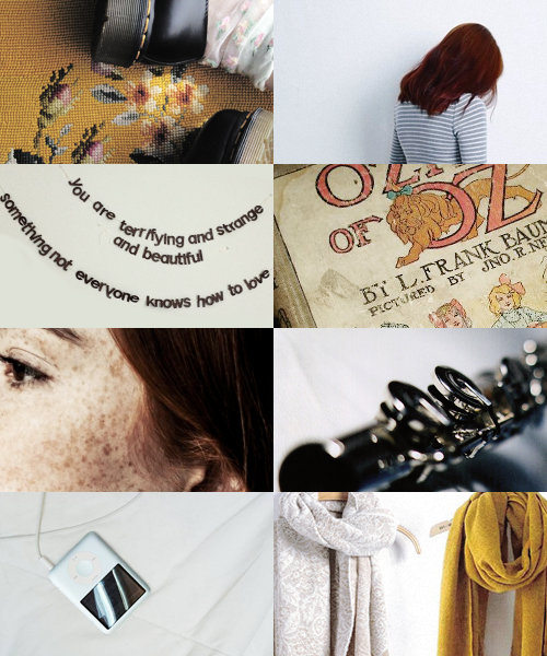 ppavlikovsky:pippa blackwell — the goldfinch aesthetics