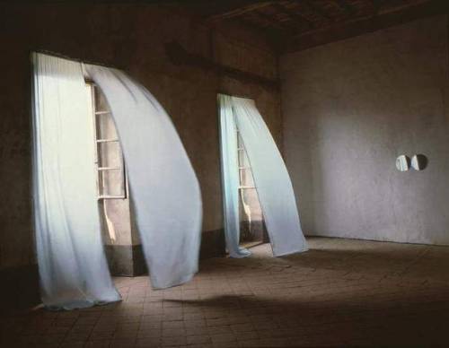 elsadreams:© Damir Doma
