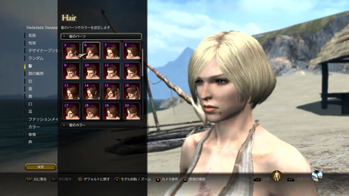 DDON Hairstyles  100%, ½ the time