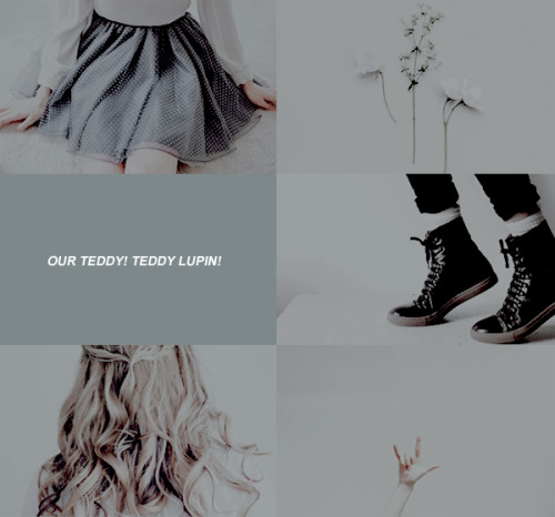 herhmione:ya lit meme: [8/8] otps ↳ teddy lupin and victoire weasley 