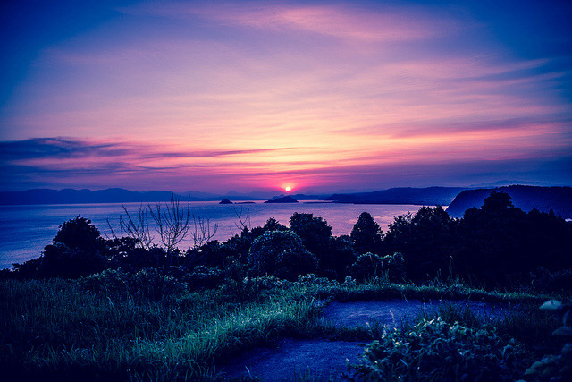 violinkitten:  colors by iwakawa73 on Flickr. 