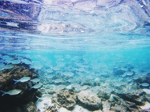 born-a-wave:  the-ocean-paradise:  pure ocean  ocean air
