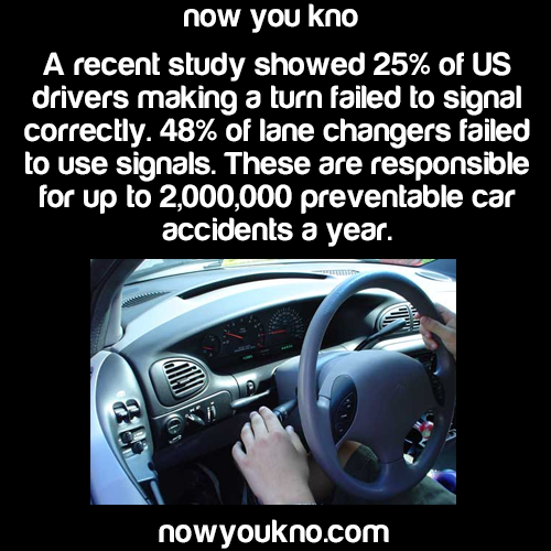nowyoukno:  Source for more facts follow NowYouKno  Well If the guy behind me wouldn’t speed up to not let me in every time I put on my blinker to change lanes….then I would use my blinker more :-)