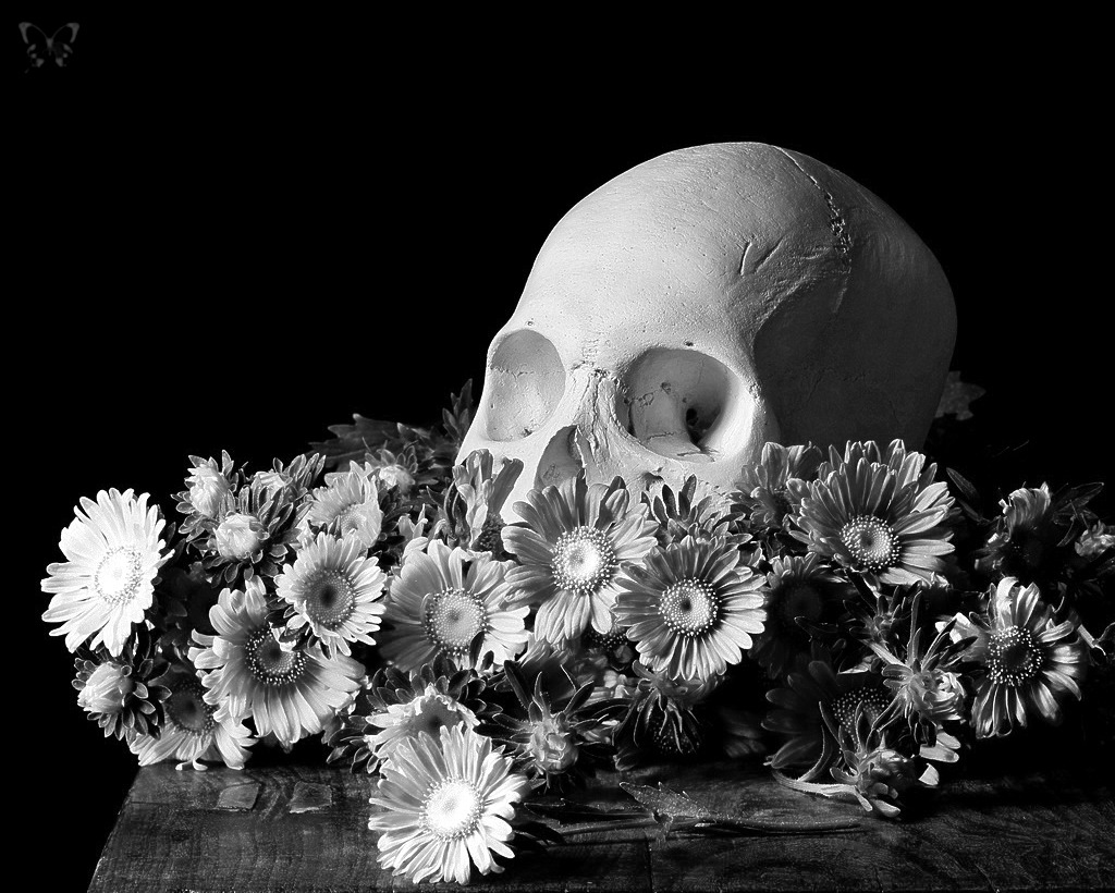whitesoulblackheart:  Dia de los muertos by Kevin Best ©   (Please leave credit