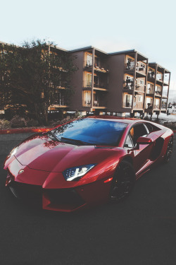 wearevanity:  Maroon Beauty | Instagram | WAV