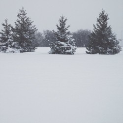 travisarkaik:  Living in a winter wonderland.