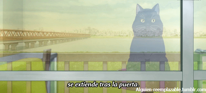 alguien-reemplazable:  She and her cat