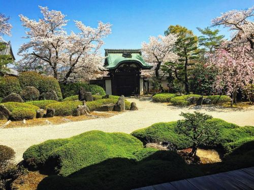 正法寺庭園 / Shobo-ji Temple Garden, Yawata, Kyoto ② 京都府八幡市の『正法寺庭園』が素敵…！ 徳川家康の後妻で尾張徳川家初代・徳川義直 の母・お