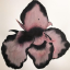 viviennevelour