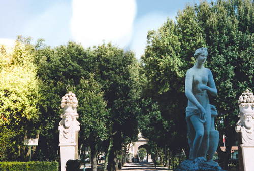 champagne: The beauty and splendor of the Villa Borghese gardens and statues in Rome, Italy. Vintage