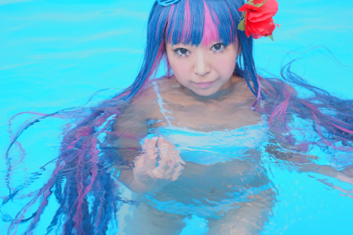 Panty and Stocking with Garterbelt - Stocking Anarchy (Necoco) 36HELP US GROW Like,Comment & Share.CosplayJapaneseGirls1.5 - www.facebook.com/CosplayJapaneseGirls1.5CosplayJapaneseGirls2 - www.facebook.com/CosplayJapaneseGirl2tumblr - http://cosplayja