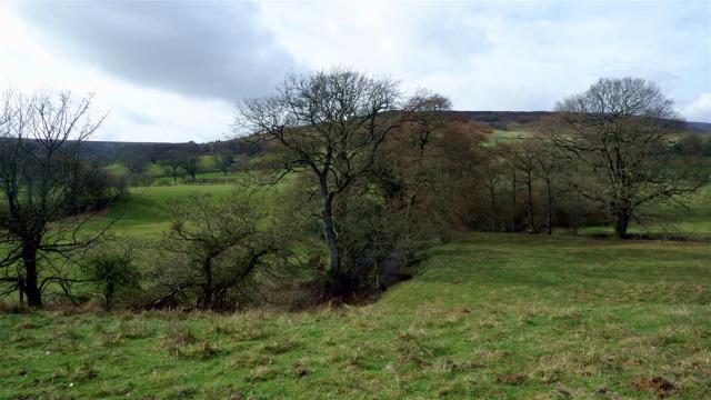 The View - North, South, East and West. Farndale, North York Moors, England.