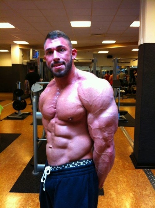 myfavoritemusclemen:  Kevin Wolter