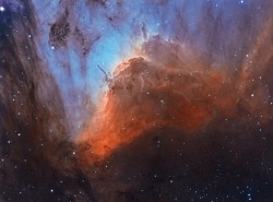 the-wolf-and-moon:Pelican Nebula