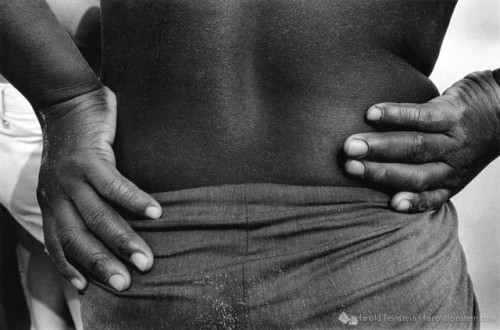 killerbeesting: Harold Feinstein, Black Hands and Back, 1974