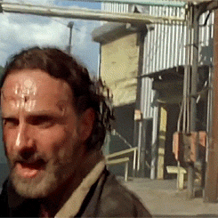 the-walking-dead-obsession:  05x01 | 06x03 