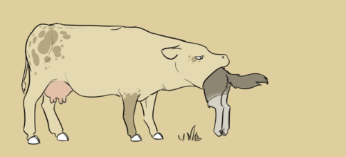 causationcorrelation:carnivorous cow adult photos