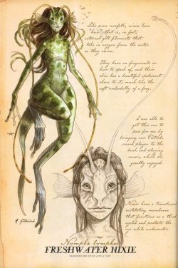 ignissannat:  Freshwater Nixie,  River Troll and Atlantic Sea King from Arthur Spiderwick’s Field Guide to the Fantastical World Mermaids from this book - here 