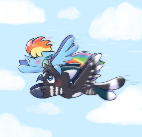 Commission for Torgon3D on twitter of her OC and Rainbowdash. I’ve been really enjoying using this n