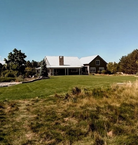 An Example Of A Huge Contemporary Privacy And Full Sun Backyard Landscaping.