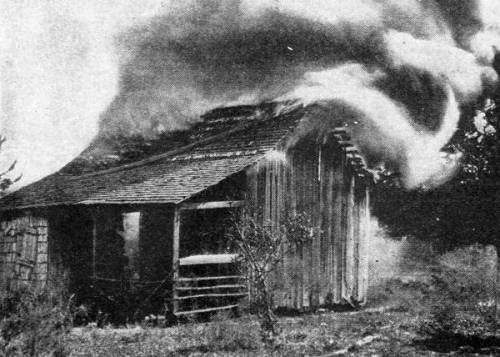 chocolatecakesandthickmilkshakes:  sancophaleague:  In 1923, Rosewood was a primarily Black town in Florida. One day a White woman living in a nearby town had been beaten and robbed. Afraid they would find the real attacker who was her husband, she told