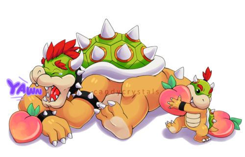Bowser was dreaming about Princess,so Baby Bowser is bringing him peaches.so I guess this is a famil