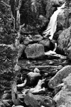 notreadyforanythingactually: the stillness of the air was only disturbed by the rushing stream  (credit goes to my amazing great uncle for the photo!) 