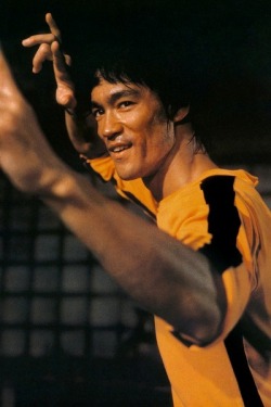 Bruce lee