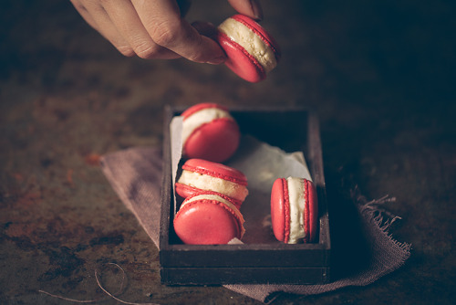 noperfectdayforbananafish: (via Macarons glacés vanille et framboise – Crokmou)looks sooo deliciou