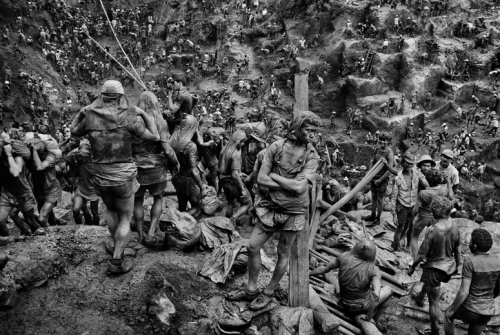 kateoplis:From The Salt of the Earth, a film by Wim Wenders & Juliano Ribeiro Salgado, celebrating the stunning photography of Sebastião Salgado.